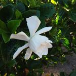 Nelda Rios - @nelda_rios_ - Instagram