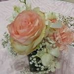 Nelda Rihn Rose - @nelda_rose - Instagram