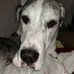 Nelda Shaw - Facebook