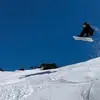 ned_simpson - @ned_simpson - TikTok