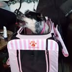 Kathy Nelda Ward - Facebook