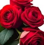 Nelia Cabral - Facebook