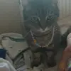 narlapow - @niliapowell1238 - TikTok
