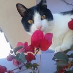 Nelia Ramírez - Facebook