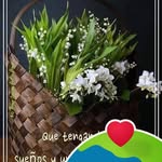 Nelida Avila - @nelidaavila2 - Instagram