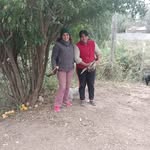 Nelida Avila - @nelidaavila38 - Instagram