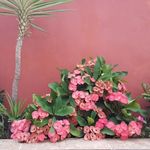 Nieves Nelida Sola - @nievesnelidasola - Instagram