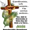 nelida - @nelidanunez0424 - TikTok