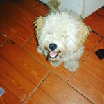 nelida nuñez - @nelida_nunez002 - Instagram