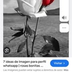 Nelida Nunez Barcenas - Facebook