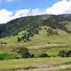 Nelida Ramirez - @nld.rmrz04 - TikTok
