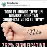 Nelida Santos - @nelidasantos40 - Instagram