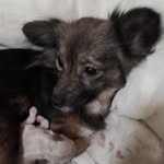 Nelida Santos Da Cuhna - @nelidacuhna - Instagram
