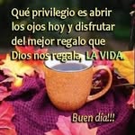 Nelida Santos manchay - @nelidasantosm - Instagram