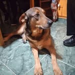 Nelida Vazquez - @nelida.vazquez.7758 - Instagram