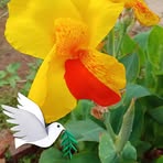 Nelida Vazquez - Facebook