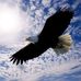 Nelio Rodrigues - Facebook