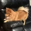 neli😎😎😎😎😎🫶🫶🫶 - @nelisfuentes.com0 - TikTok