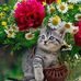 Nell Alford - Facebook