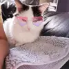 Nell Allen - @nellallen0 - TikTok