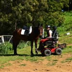 Nell Allen-Coen - @nell.allencoen_equestrian - Instagram