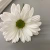 Nellie Arnold - @nellie.arnold4 - TikTok