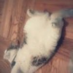 Gernell Barton - @gernellbarton - Instagram