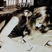 Nell Black - Facebook