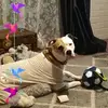 Nelli Brennan - @nelli.brennan - TikTok