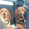 Nellie, Britton & Tiff - @nellie_britton - TikTok