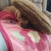 Nell Cannon - Facebook