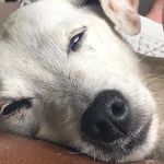 nell cannon - @nellcan13 - Instagram