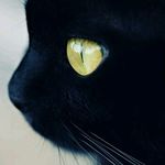nell collins - @ellephante40 - Instagram