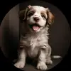 nellcrosby - @nellcrosby - TikTok