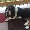nelldelgado6 - @nelldelgado6 - TikTok