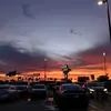 Nellie Delgado - @nellie.delgado6 - TikTok