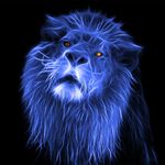 Nell Dickerson - @nightgrowl - Instagram
