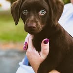 Kim Nell Doyle - @kim.n.doyle - Instagram