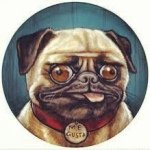 🐶NELLY🐶 - @nelly_dwyer - Instagram