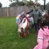 Nelly Elliott - @nelly.elliott6 - TikTok