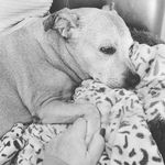 Helen Nell Everett - @nell_evo_58 - Instagram
