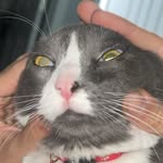 Ellie Farrell - @ellie_feral - Instagram