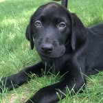 Ella Fortner - @fortnerphotos - Instagram