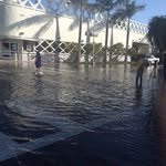 Nell Fortner - @nellfortner - Instagram