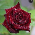 nell foster - @fosternell072 - Instagram