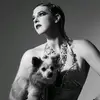 Nell Fox - @nell.sparklefox - TikTok