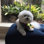 Nell Morgan Gilbert - @ngilbert59 - Instagram