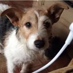 Nelly Gilbert - @nellyg2007 - Instagram