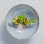 Jocelyn Burkart - @nellglass683 - Instagram