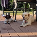 Nell Golden & Snow - @nell_golden_ - Instagram